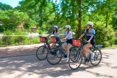 Lyon E-Bike Tour: Explore Tête d'Or Park in 2 Hours!