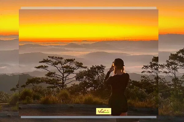 Conquer Da Lat's Peaks: Trekking & Cloud Hunting Adventure