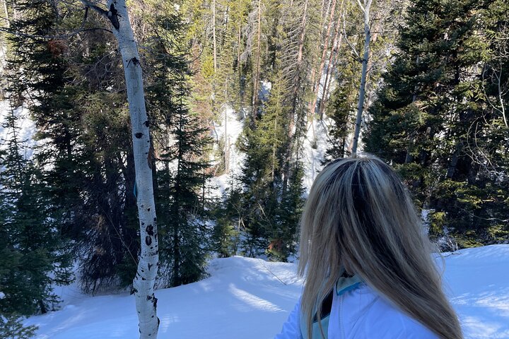 Experience Image img3