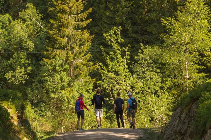 Experience Image img2