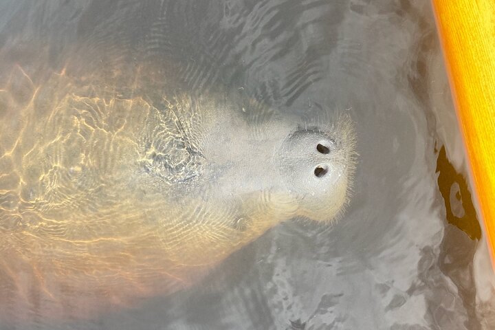 Experience Image img1