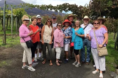 Uncover Pompeii & Vesuvius: A Family-Friendly Wine Tour Adventure