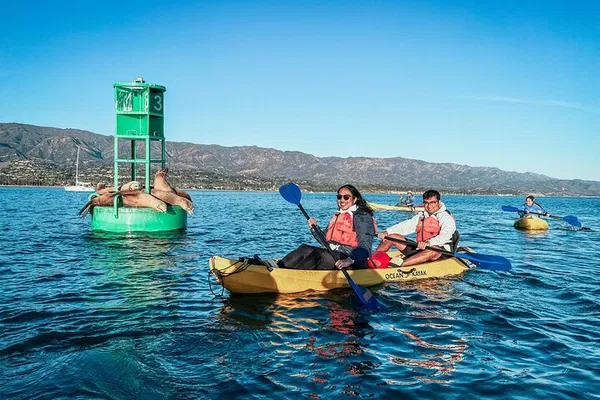 Santa Barbara Kayak Tour: Wildlife & Harbor Views
