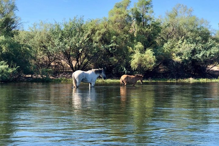 Experience Image img4