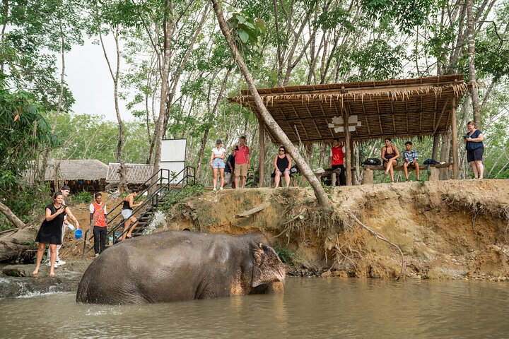 Khao Lak's Ethical Elephant Encounter: Waterfall & Wellness Journey