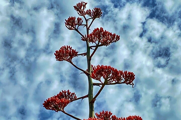 Experience Image img4