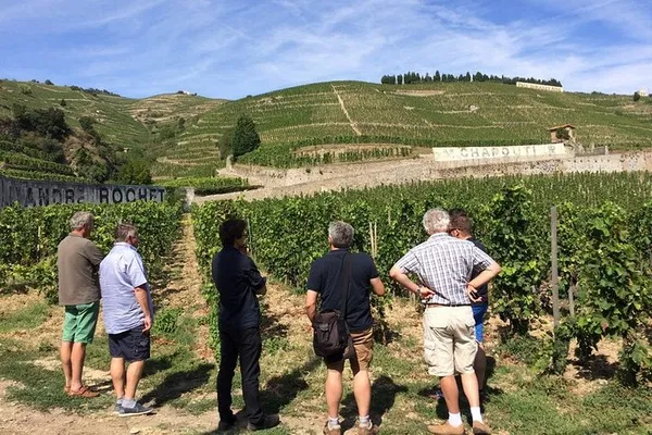 Unveiling Rhône Valley's Royal Wines: A Full-Day Private Tour from Lyon