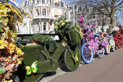 Discover Amsterdam's Charm: A Private Walking & Canal Cruise Adventure