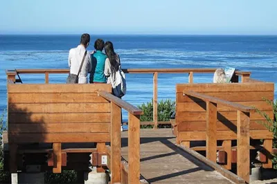 Carmel's Coastal Charm: Discover Scenic Road on an Audio Adventure