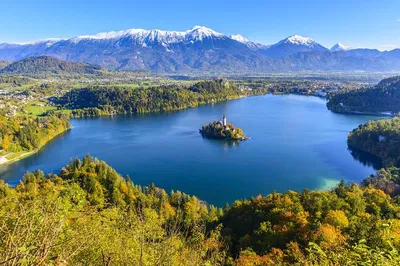 Discover Slovenia's Gems: Private Ljubljana & Bled Tour from the Coast