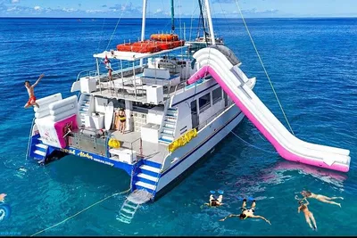 Waikiki Turtle Snorkel: Family Fun Awaits!