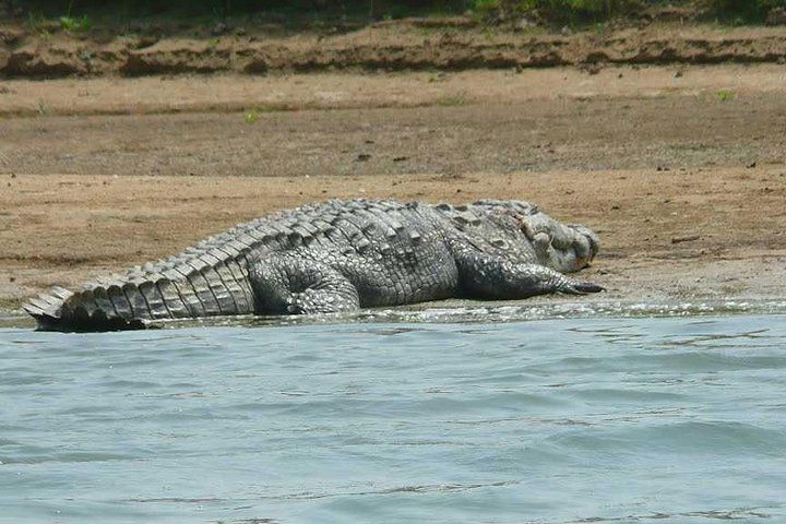 Experience Image img4