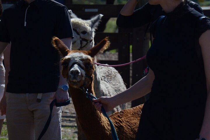 Experience Image img4