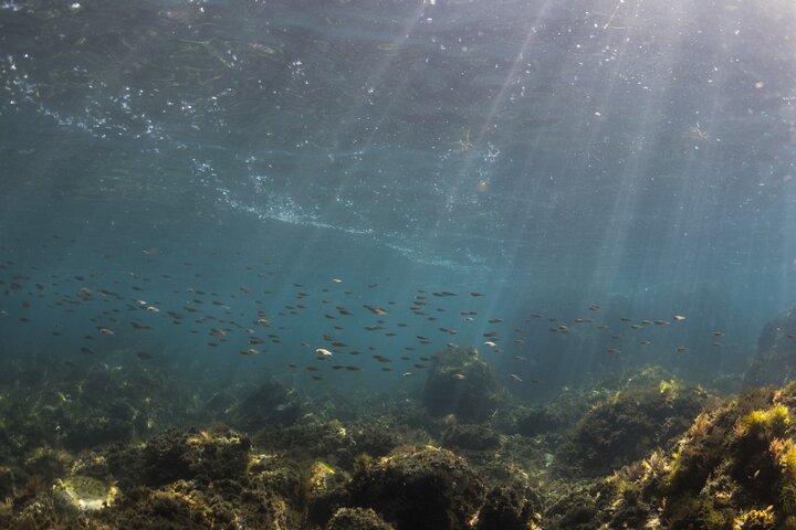 Experience Image img4