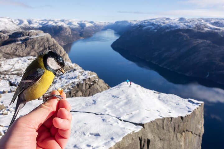 Experience Image img2