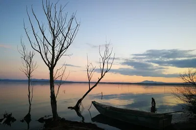 Lake Trasimeno Speedboat & Assisi Tour: A Luxurious Blend of Nature and Spirituality