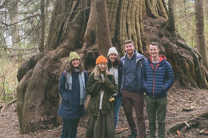 Experience Image img4