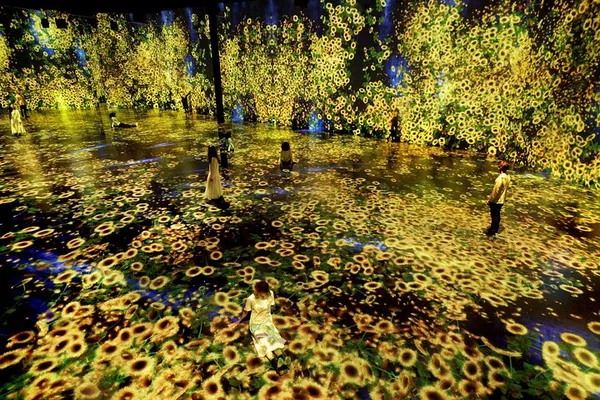 Superblue Miami: Skip-the-Line Immersive Art Ticket