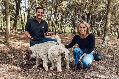 Tuscan Truffle Hunt: Unearth Culinary Gold with Wine & Lunch