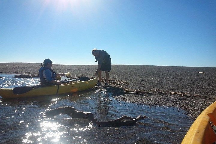 Experience Image img2