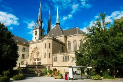 Image 2