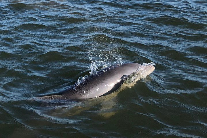 Experience Image img3