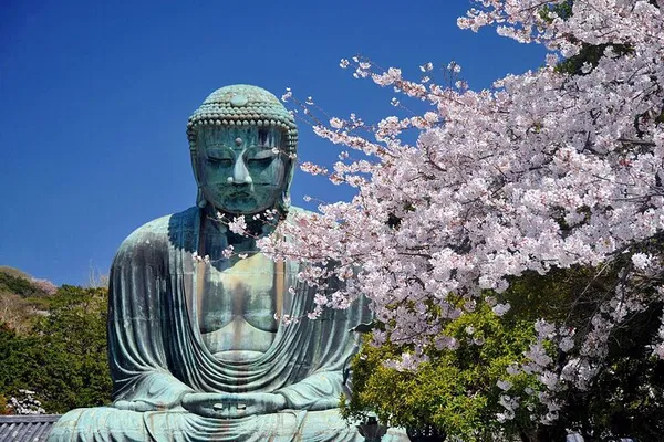 Tranquil Time Travel: Immersive Zazen & Kamakura Temple Tour