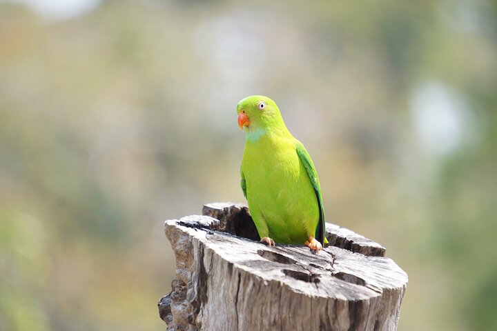 Experience Image img3