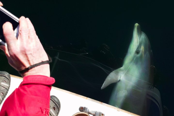 Experience Image img4