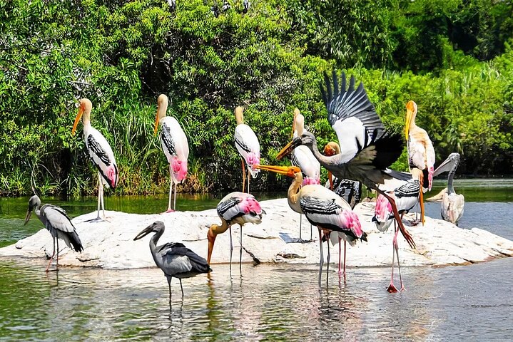 Experience Image img4