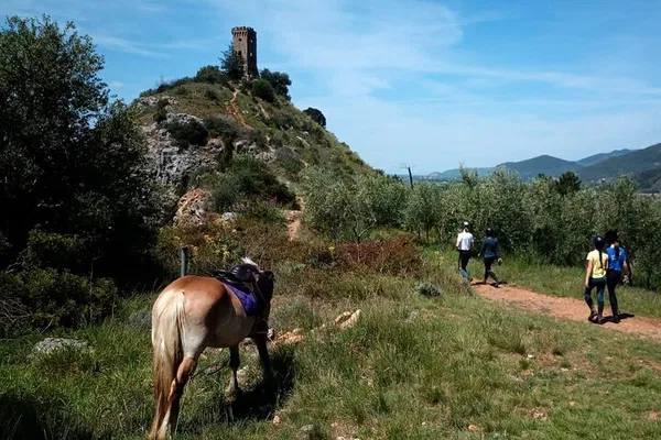 Valgraziosa Expert Horseback Ride: Explore Pisa's Trails