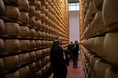 Culinary Delights: A Full-Day Food Factory & Wine Tour from Bologna