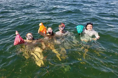 Crystal River Scalloping: Dive for Your Dinner!
