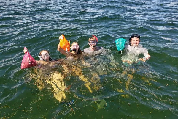 Crystal River Scalloping: Dive for Your Dinner!