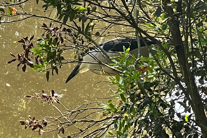 Experience Image img3