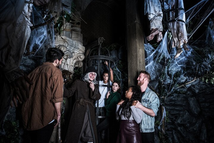 Experience Image img4