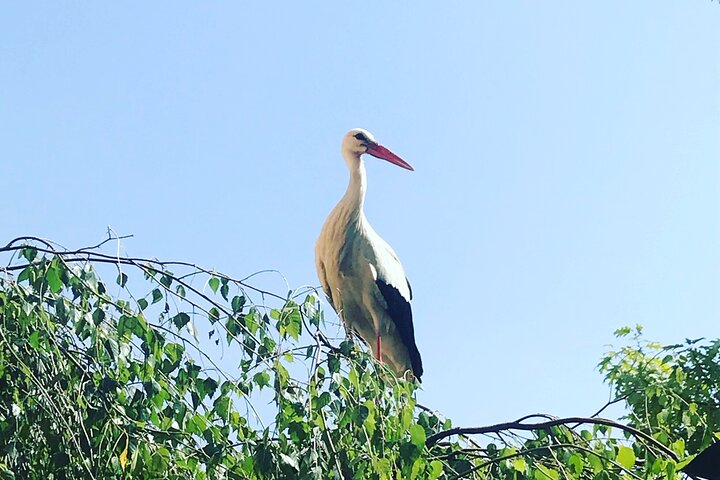 Experience Image img4