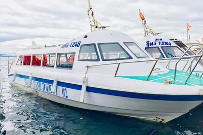 Unveiling Cham Island: Snorkeling & Eco-Adventure from Hoi An