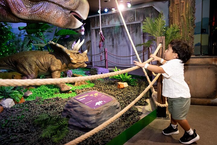 Experience Image img1