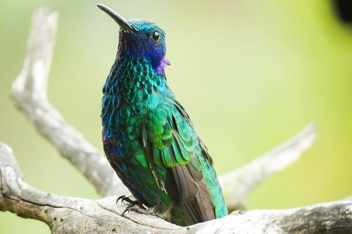 Experience Image img2