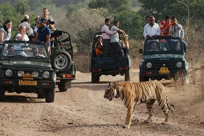 Golden Triangle & Ranthambore Adventure: An 8-Day Cultural & Wildlife Extravaganza