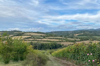 Uncover Umbria's Hidden Gems: Tailored Cultural Experiences