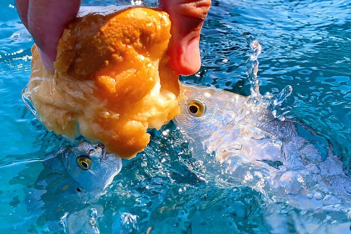 Experience Image img3