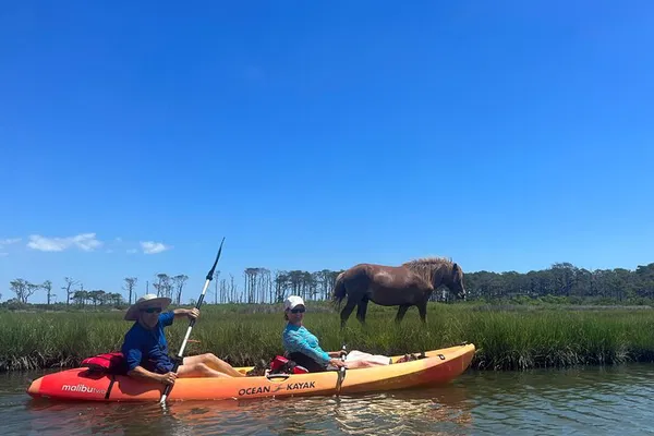 Glide Through Assateague's Waters: Double Kayak Adventures Await!