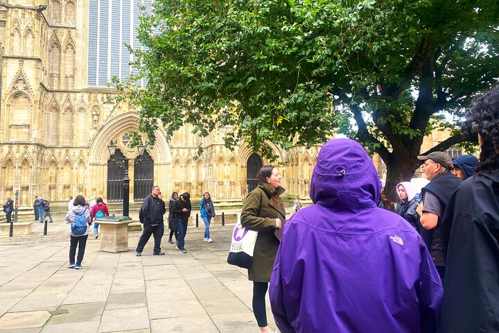 Experience Image img4