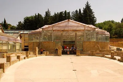 Image 3
