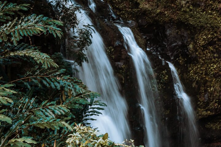 Experience Image img4