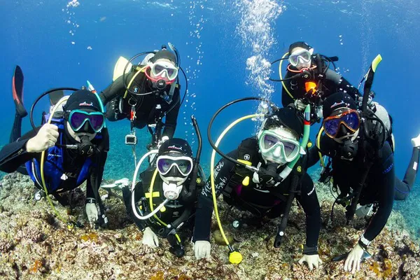 Explore Kansai's Underwater Wonders: Certified Diver's Dream!
