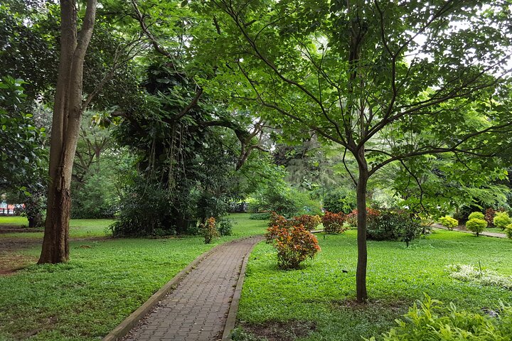 Experience Image img4