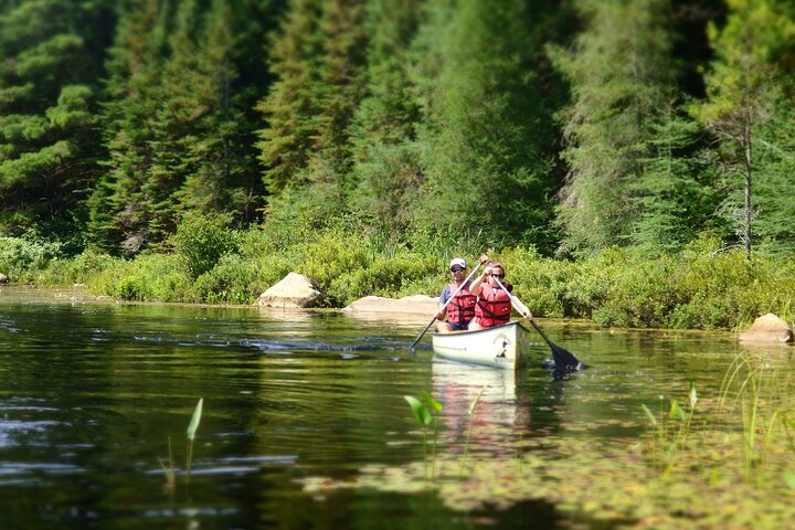 Experience Image img3